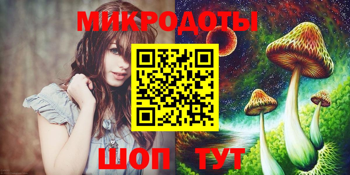 Галлюциногенные грибы Psilocybine cubensis Большой Камень